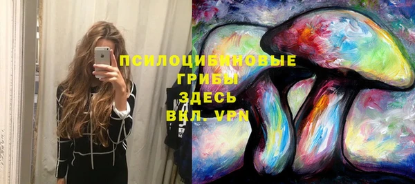 дмт Алексеевка