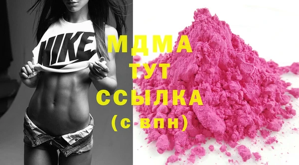 молекула духа Пестово