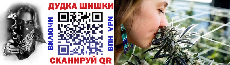 где купить   Лаишево  Шишки марихуана план 